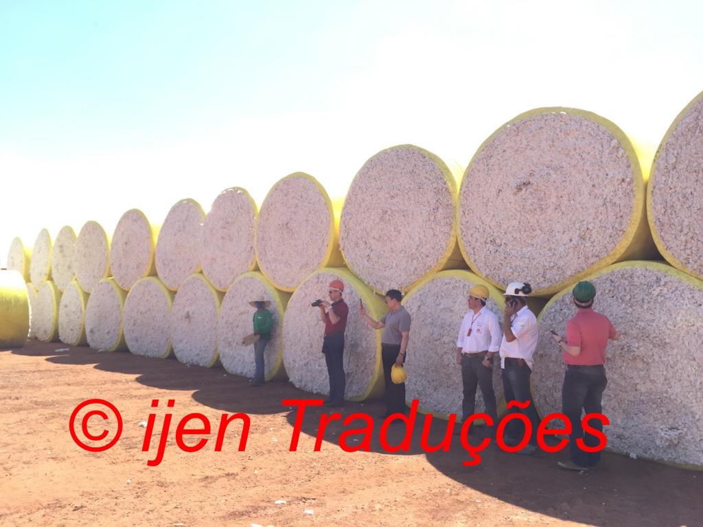 Visita técnica com equipe internacional