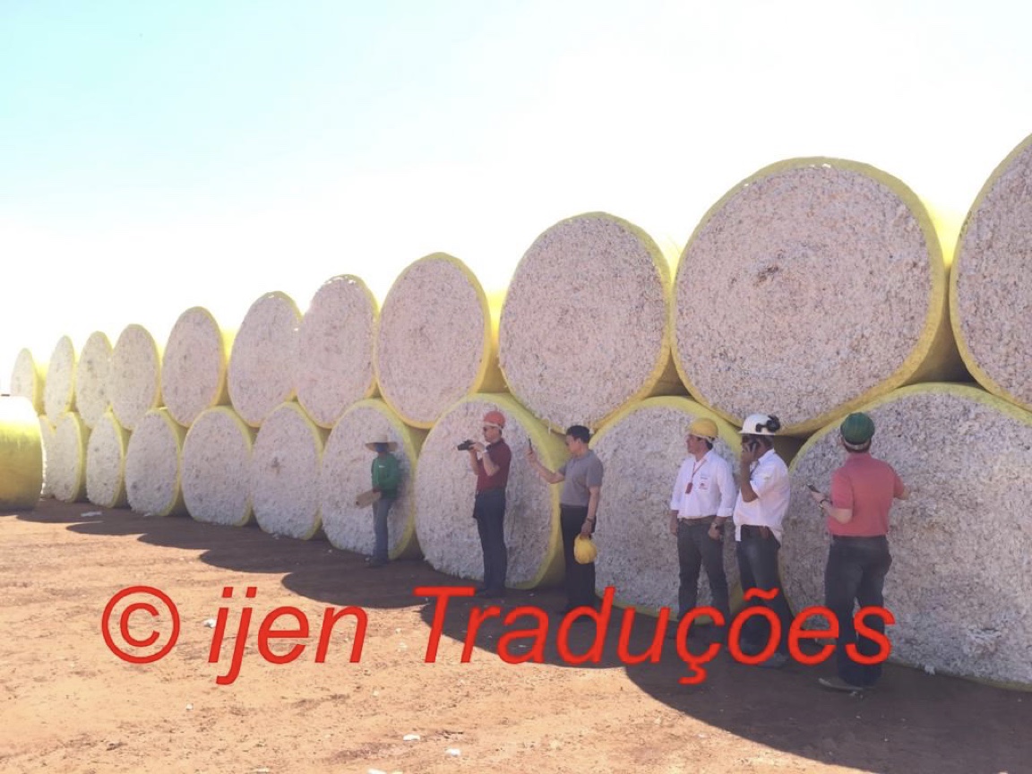 Acompanhamento de visita técnica industrial